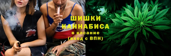 мдпв Бородино