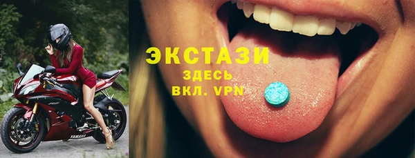 мдпв Бородино