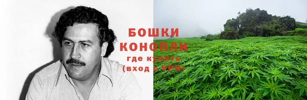 мдпв Бородино