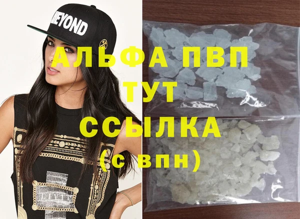 прущий лед Богданович