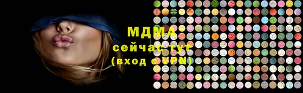 мдпв Бородино