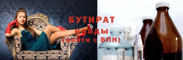 мдпв Бородино