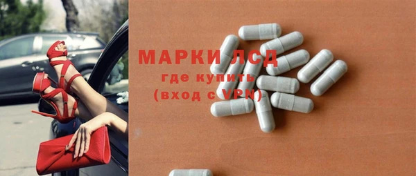 мдпв Бородино