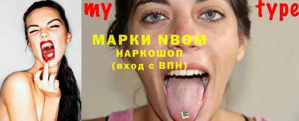 мдпв Бородино