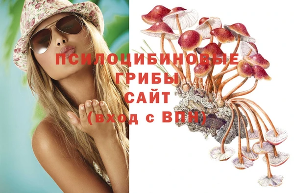 мдпв Бородино