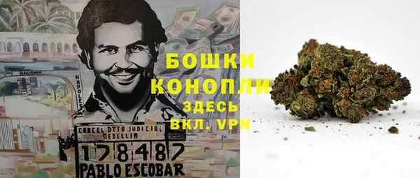 круглые Бронницы