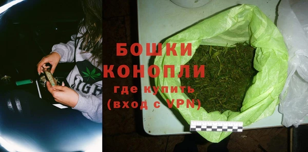мдпв Бородино