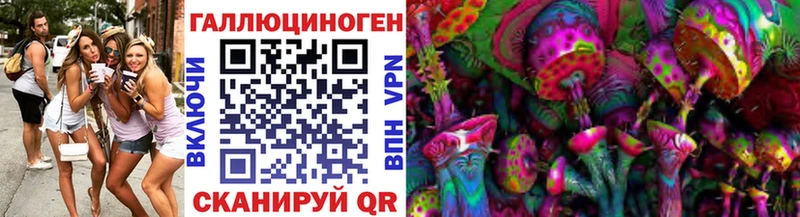 Галлюциногенные грибы Psilocybe  Купить закладки  Новоузенск 